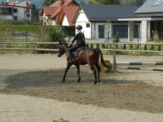 Babie Lato 2016